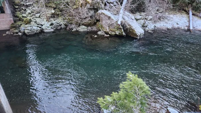 Little Fan Creek Campground Picture 1
