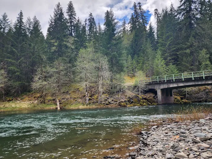 Little Fan Creek Campground Picture 7