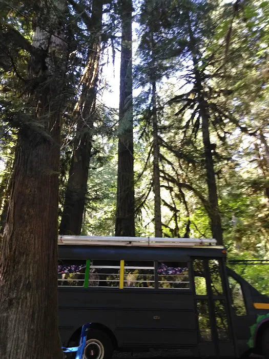 Kingfisher Campground Picture 2