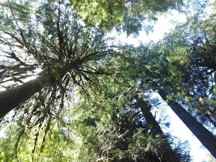 Kingfisher Campground Picture 7