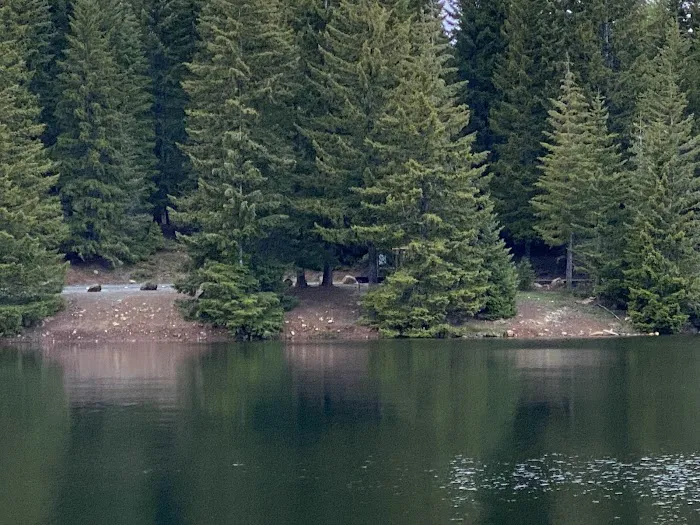 Pine Point Group Campground Picture 5