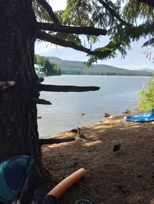 Pine Point Group Campground Picture 9