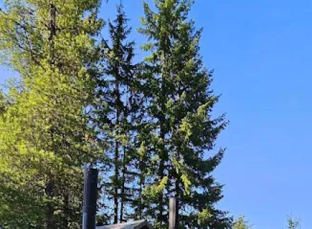 Pine Point (Timothy Lake) Day Use/Picnic Area (recgovnpsdata)