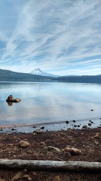 Pine Point (Timothy Lake) Day Use/Picnic Area (recgovnpsdata) Picture 8