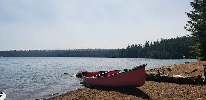 Pine Point (Timothy Lake) Day Use/Picnic Area (recgovnpsdata) Picture 6