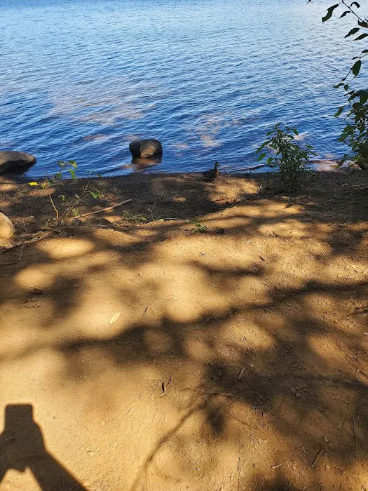 Pine Point (Timothy Lake) Day Use/Picnic Area (recgovnpsdata) Picture 4