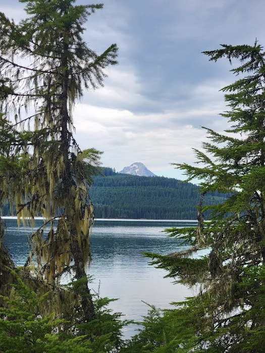Pine Point (Timothy Lake) Day Use/Picnic Area (recgovnpsdata) Picture 10