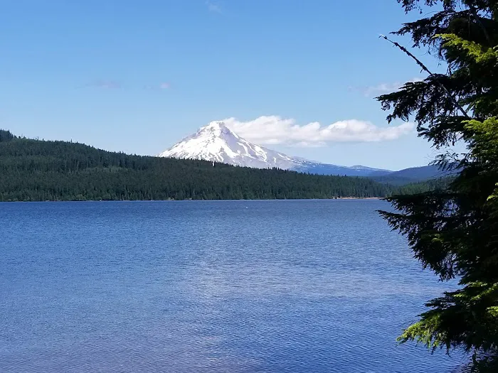 The Cove (Timothy Lake) Day-Use Picture 1