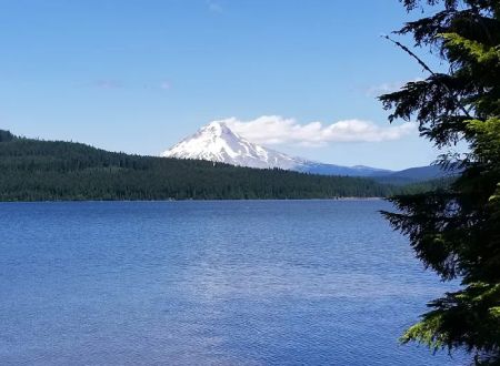 The Cove (Timothy Lake) Day-Use