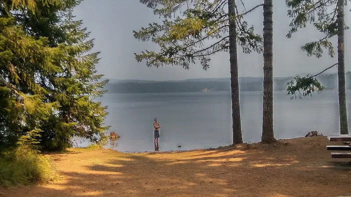 The Cove (Timothy Lake) Day-Use Picture 3