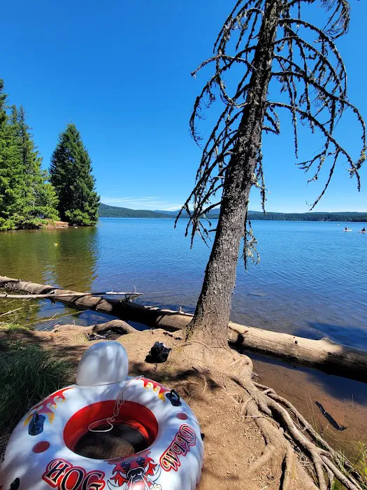 The Cove (Timothy Lake) Day-Use Picture 9