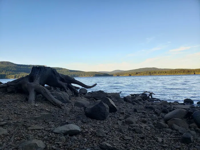 The Cove (Timothy Lake) Day-Use Picture 7
