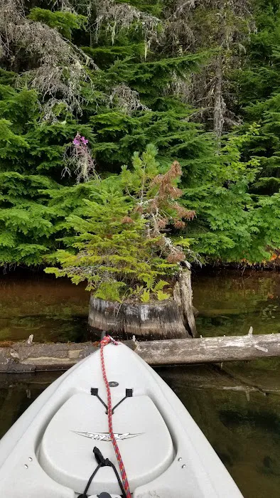 Meditation Point (Timothy Lake) Campground Picture 4