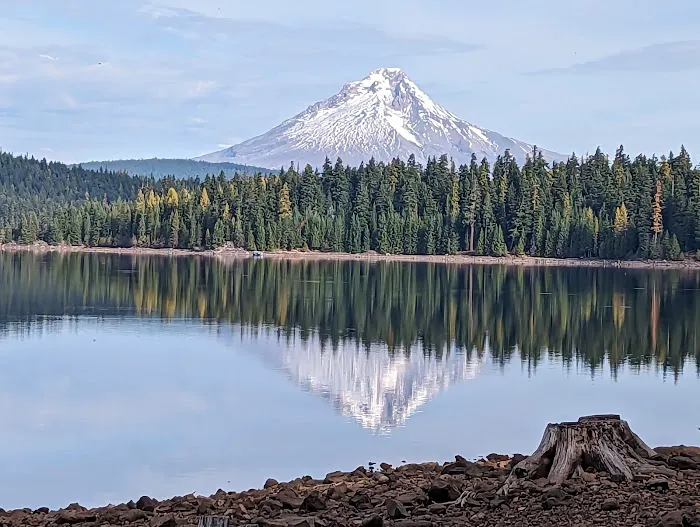 Meditation Point (Timothy Lake) Campground Picture 6