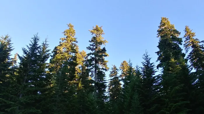 Hoodview Campground Picture 9
