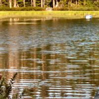 Summit Lake Campground ico