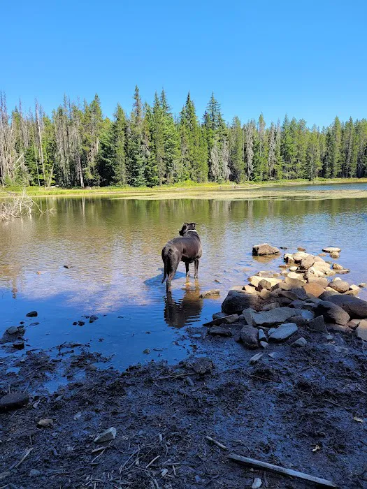Summit Lake Campground Picture 3