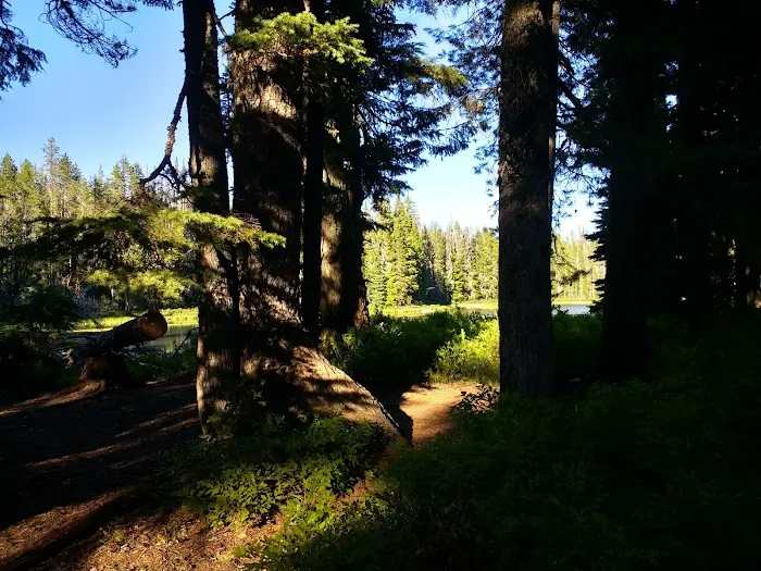 Summit Lake Campground Picture 9