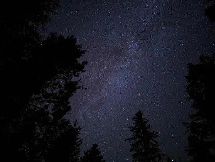Stone Creek Campground Picture 3