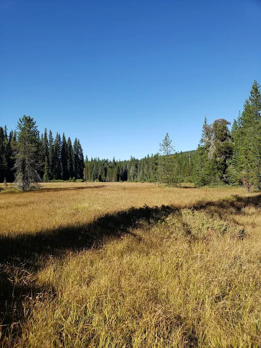Little Crater Lake Campground Picture 5