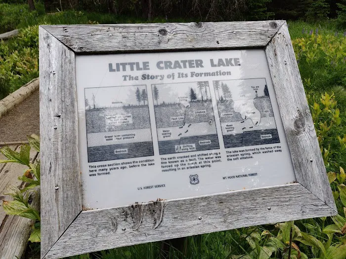 Little Crater Lake Campground Picture 8