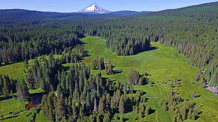 Little Crater Lake Campground Picture 4