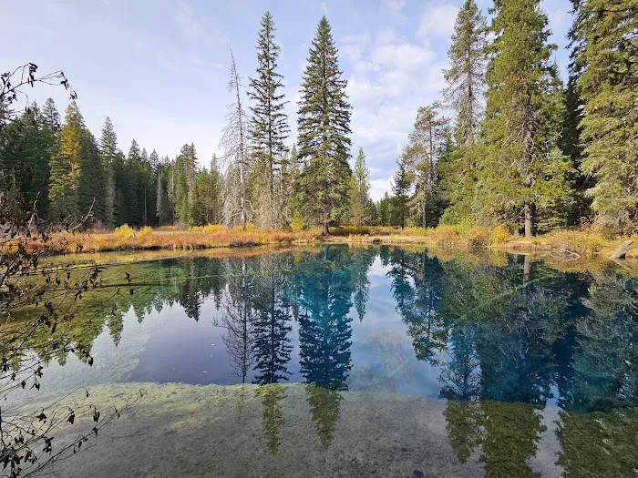 Little Crater Lake Campground Picture 7