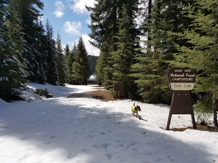 Clear Lake Campground Picture 1