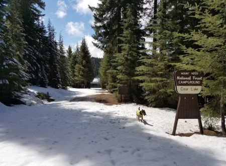 Clear Lake Campground
