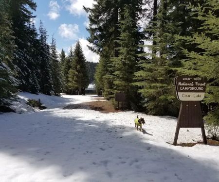 Clear Lake Campground