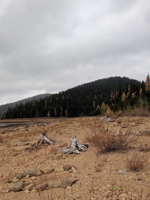 Clear Lake Campground Picture 5