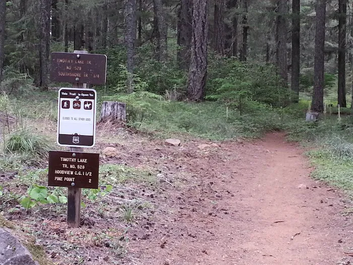 Gone Creek Campground Picture 9