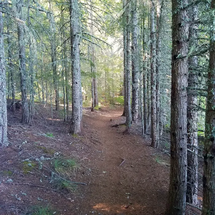 Gone Creek Campground Picture 10