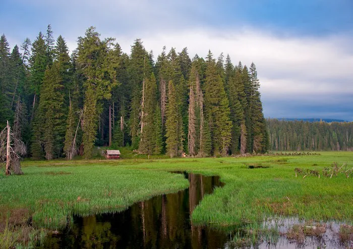 Joe Graham Horse Campground Picture 2