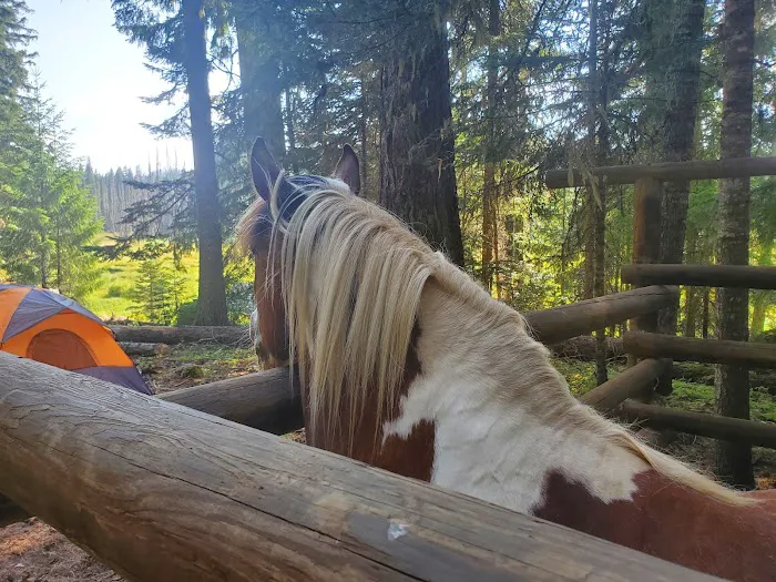 Joe Graham Horse Campground Picture 5