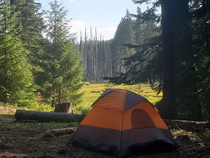 Joe Graham Horse Campground Picture 6