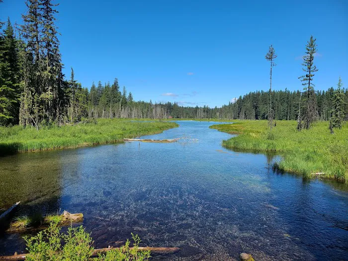Clackamas Lake Campground Picture 7