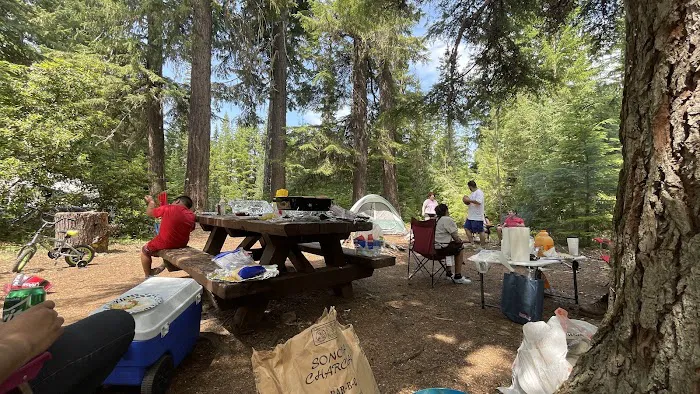 Clackamas Lake Campground Picture 3