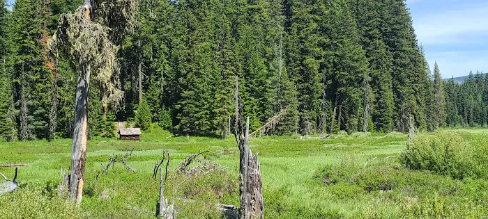 Clackamas Lake Campground Picture 6