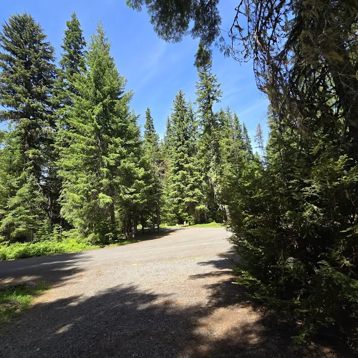 Clackamas Lake Campground Picture 5