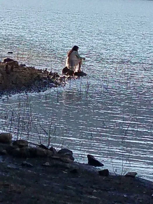 Southshore on Detroit Lake Picture 9