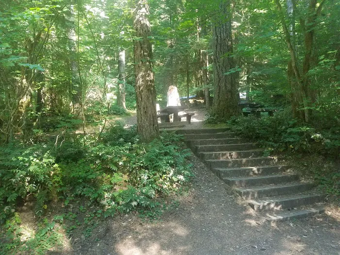 Cove Creek Campground Picture 10