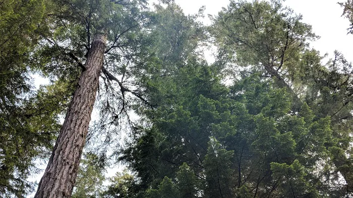 Humbug Campground Picture 7