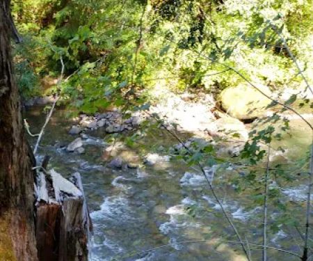 Humbug Campground