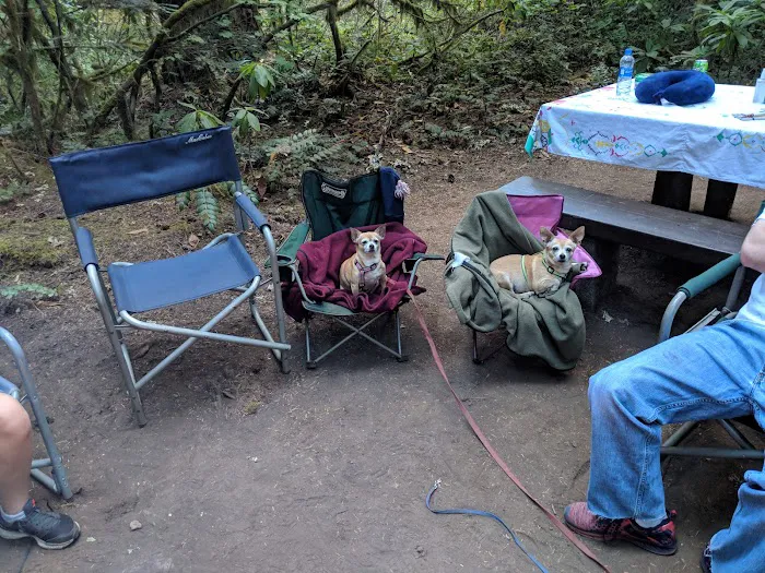 Humbug Campground Picture 4