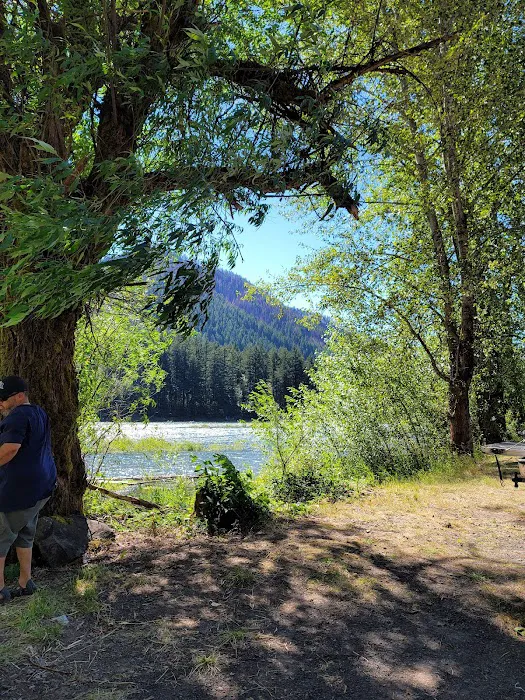 Santiam Flats Campground Picture 3