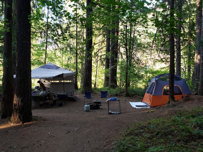 Santiam Flats Campground Picture 5