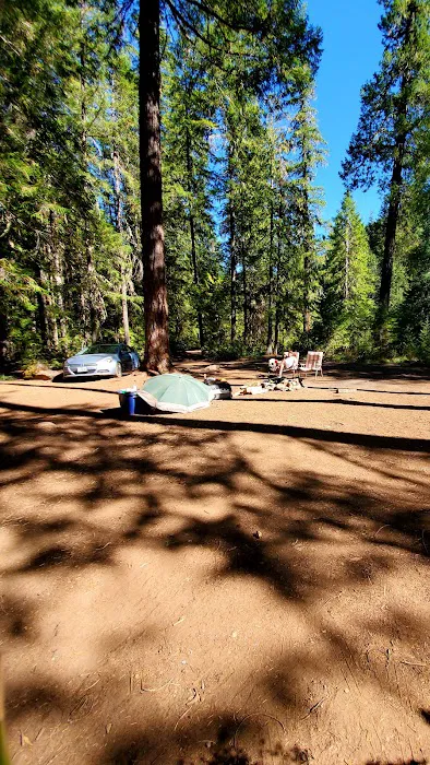 Scorpion Creek Campsite Picture 1