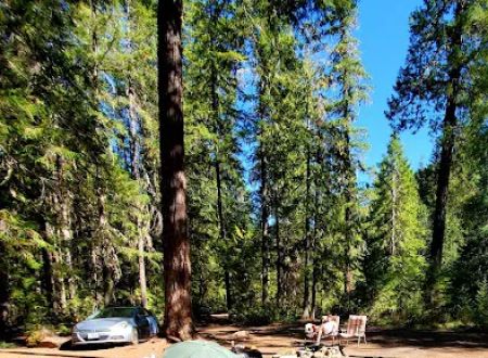 Scorpion Creek Campsite