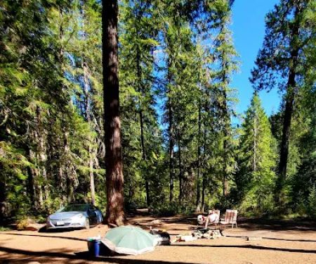 Scorpion Creek Campsite